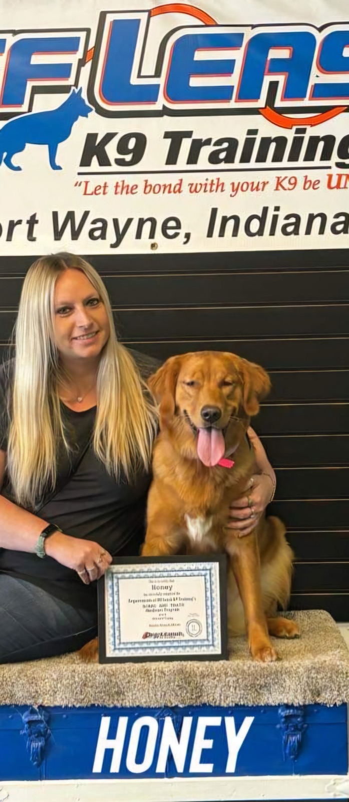 Honey the Golden Retriever with her certificate in front of the Off Leash K9 Training Fort Wayne banner